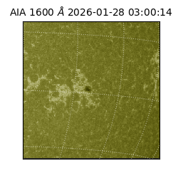 saia - 2026-01-28T03:00:14.125000