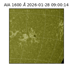 saia - 2026-01-28T09:00:14.126000