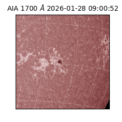 saia - 2026-01-28T09:00:52.717000