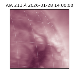 saia - 2026-01-28T14:00:00.704000