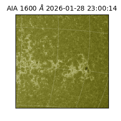 saia - 2026-01-28T23:00:14.126000