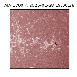 saia - 2026-01-28T19:00:28.718000