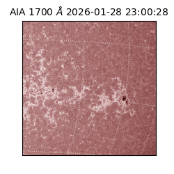 saia - 2026-01-28T23:00:28.718000