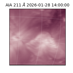 saia - 2026-01-28T14:00:00.704000