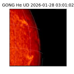 gong - 2026-01-28T03:01:02