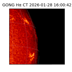 gong - 2026-01-28T16:00:42