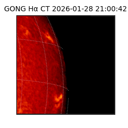 gong - 2026-01-28T21:00:42