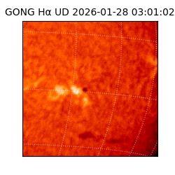 gong - 2026-01-28T03:01:02