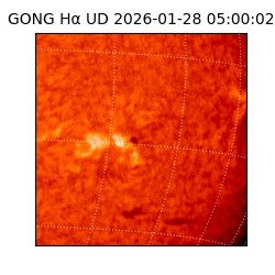 gong - 2026-01-28T05:00:02