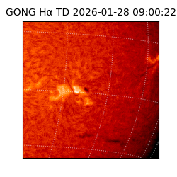 gong - 2026-01-28T09:00:22