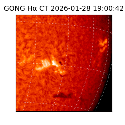 gong - 2026-01-28T19:00:42