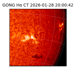 gong - 2026-01-28T20:00:42
