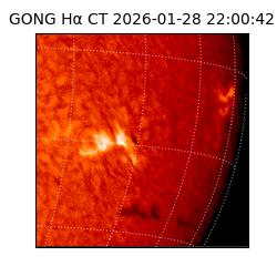 gong - 2026-01-28T22:00:42