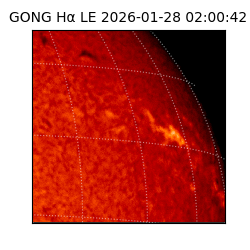 gong - 2026-01-28T02:00:42