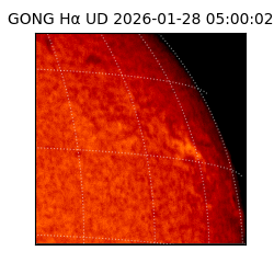 gong - 2026-01-28T05:00:02