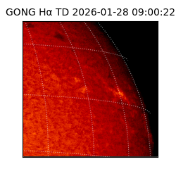 gong - 2026-01-28T09:00:22
