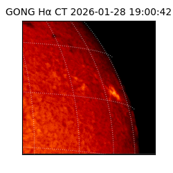 gong - 2026-01-28T19:00:42
