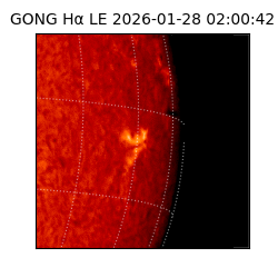 gong - 2026-01-28T02:00:42
