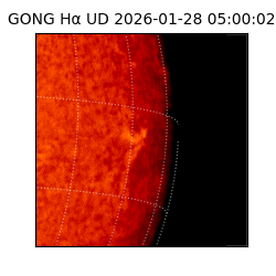 gong - 2026-01-28T05:00:02