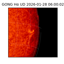gong - 2026-01-28T06:00:02