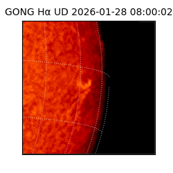 gong - 2026-01-28T08:00:02