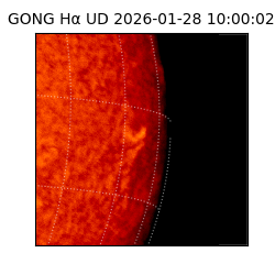 gong - 2026-01-28T10:00:02