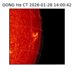 gong - 2026-01-28T14:00:42