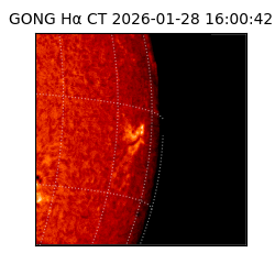 gong - 2026-01-28T16:00:42