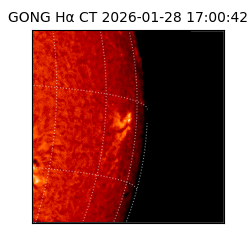 gong - 2026-01-28T17:00:42