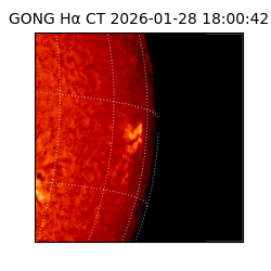 gong - 2026-01-28T18:00:42