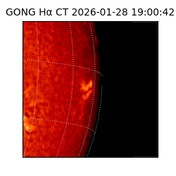 gong - 2026-01-28T19:00:42