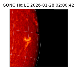 gong - 2026-01-28T02:00:42