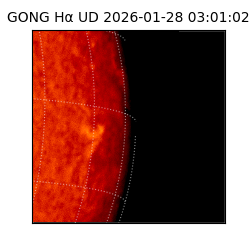 gong - 2026-01-28T03:01:02