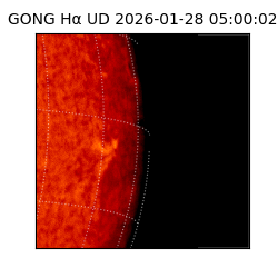 gong - 2026-01-28T05:00:02