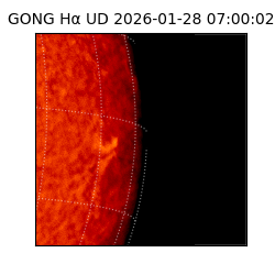 gong - 2026-01-28T07:00:02