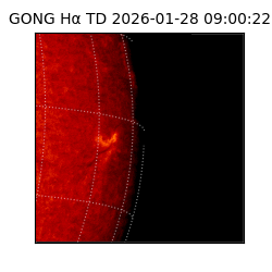gong - 2026-01-28T09:00:22