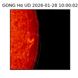 gong - 2026-01-28T10:00:02