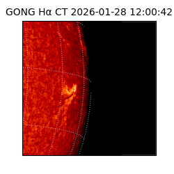 gong - 2026-01-28T12:00:42