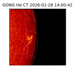 gong - 2026-01-28T14:00:42