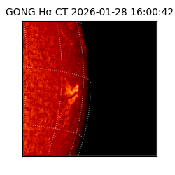 gong - 2026-01-28T16:00:42