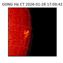 gong - 2026-01-28T17:00:42
