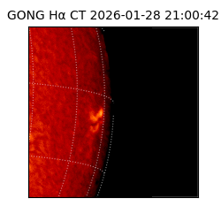 gong - 2026-01-28T21:00:42