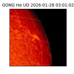 gong - 2026-01-28T03:01:02