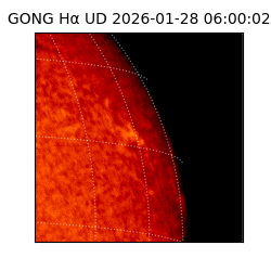 gong - 2026-01-28T06:00:02