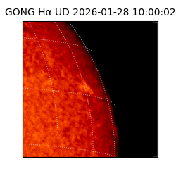 gong - 2026-01-28T10:00:02