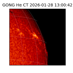 gong - 2026-01-28T13:00:42