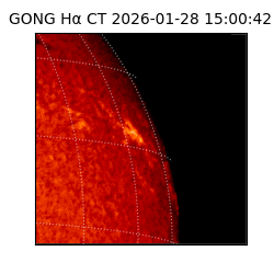 gong - 2026-01-28T15:00:42