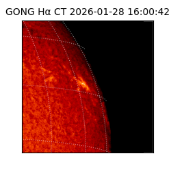 gong - 2026-01-28T16:00:42