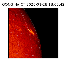 gong - 2026-01-28T18:00:42