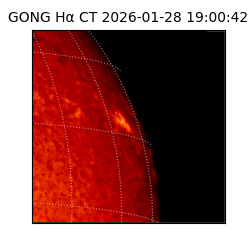 gong - 2026-01-28T19:00:42
